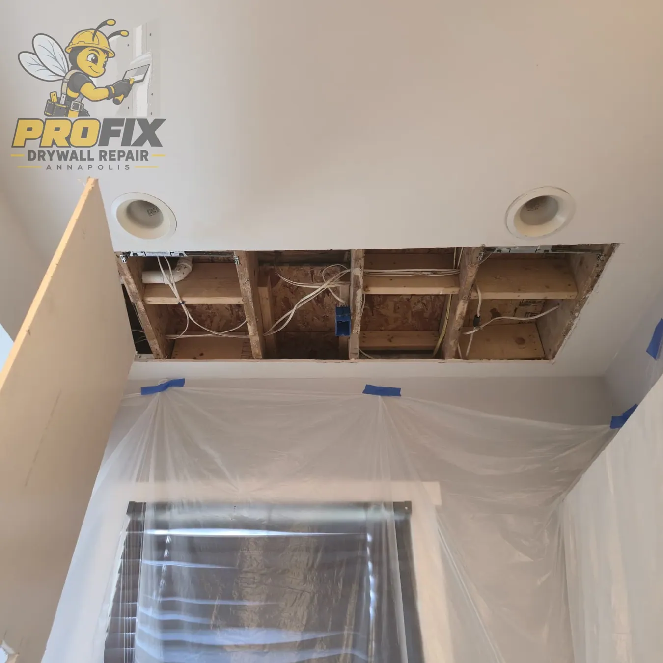 Ceiling Repair — Photo 02