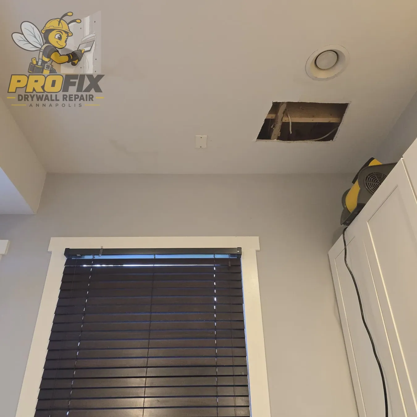 Ceiling Repair — Photo 03