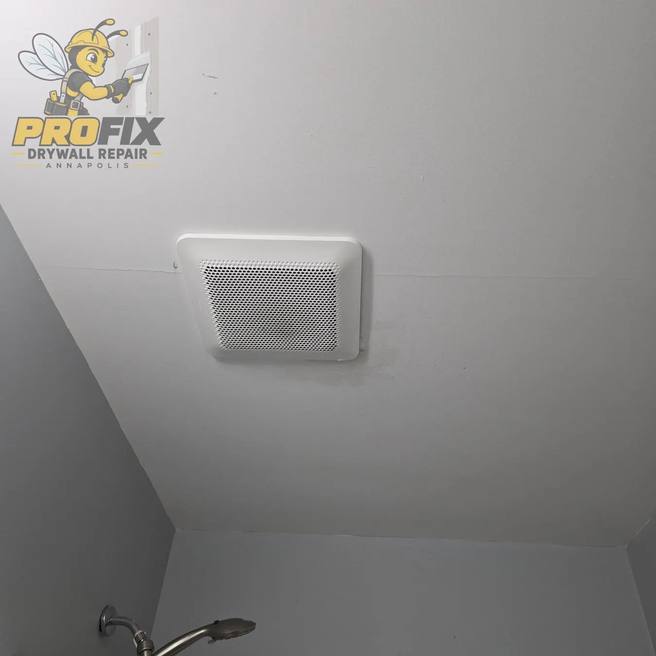 Ceiling Repair — Photo 06