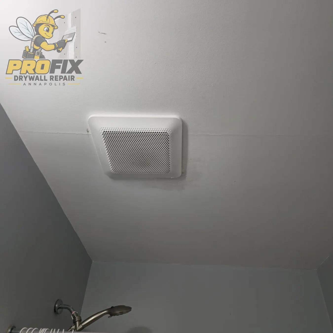 Ceiling Repair — Photo 08