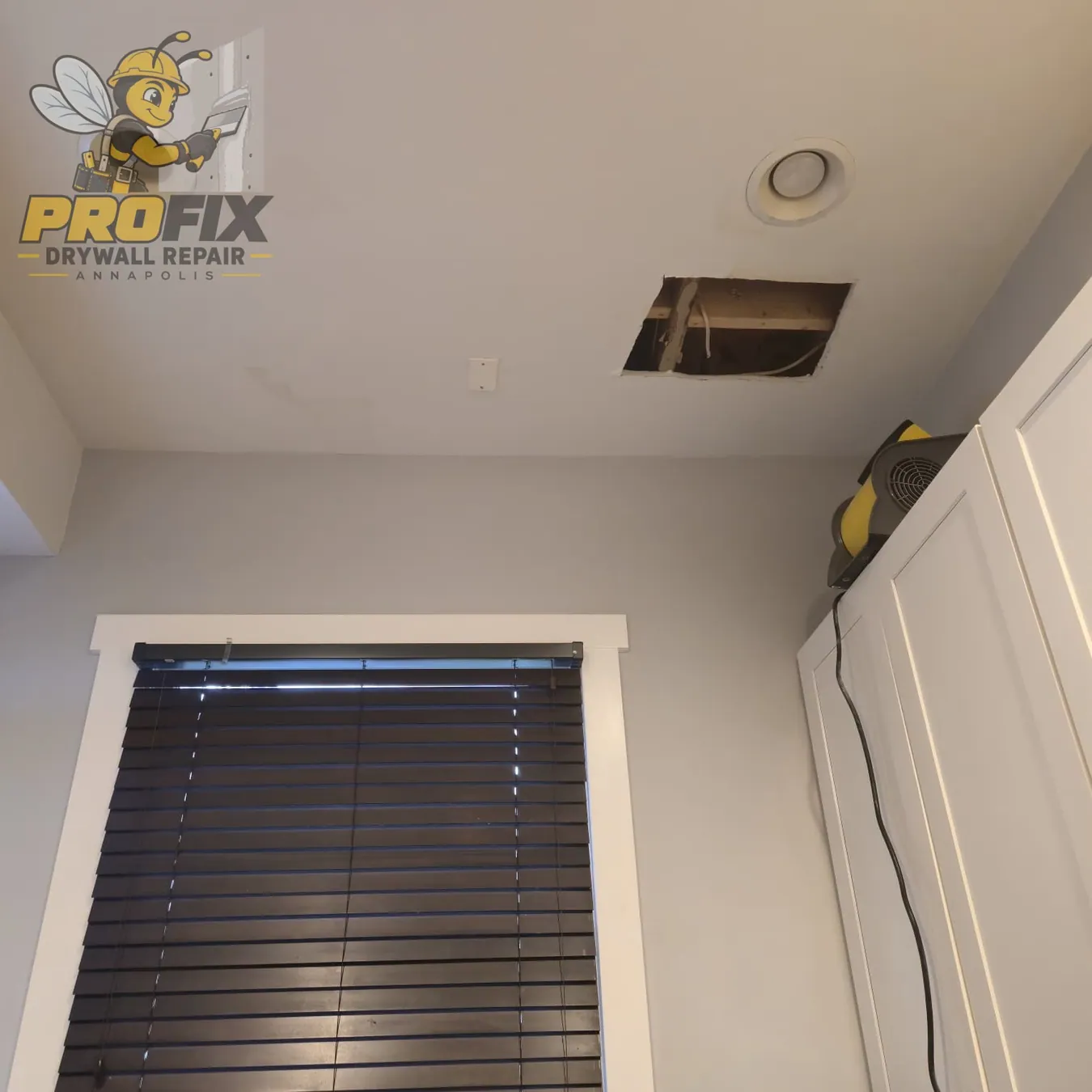 Ceiling Repair — Photo 15