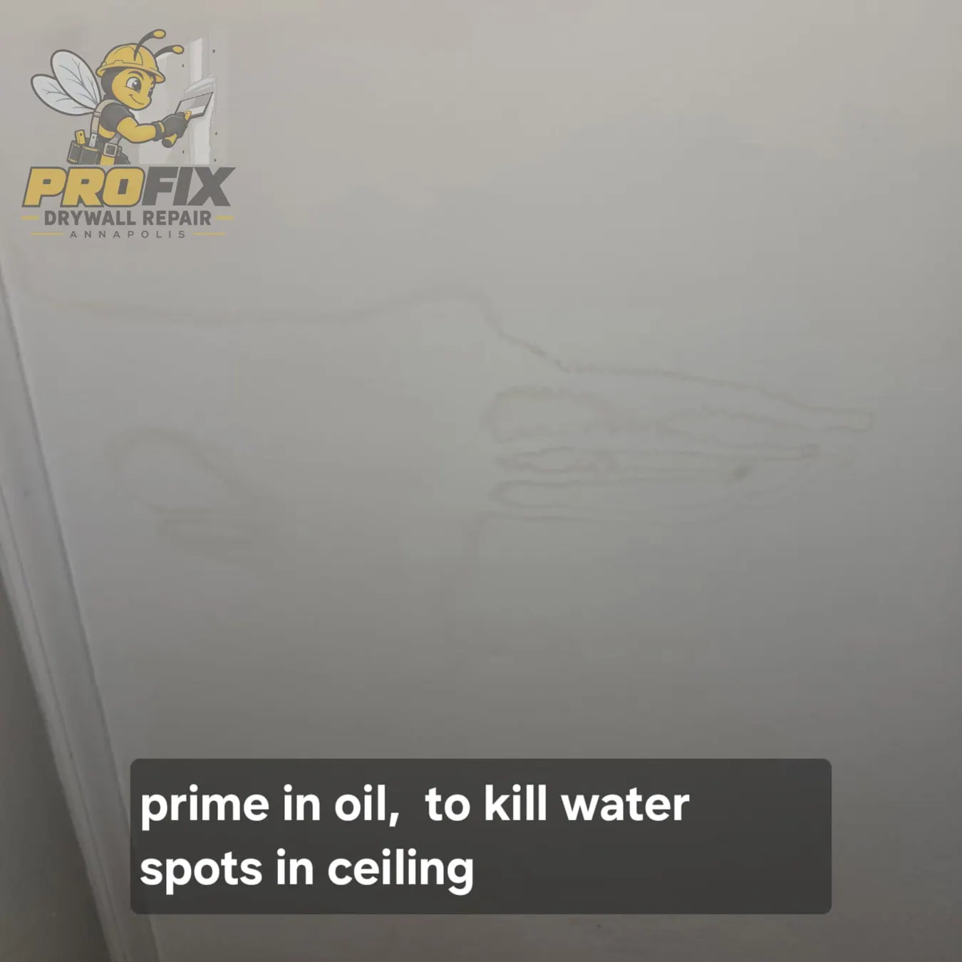 Water Damage Repair — Photo 01